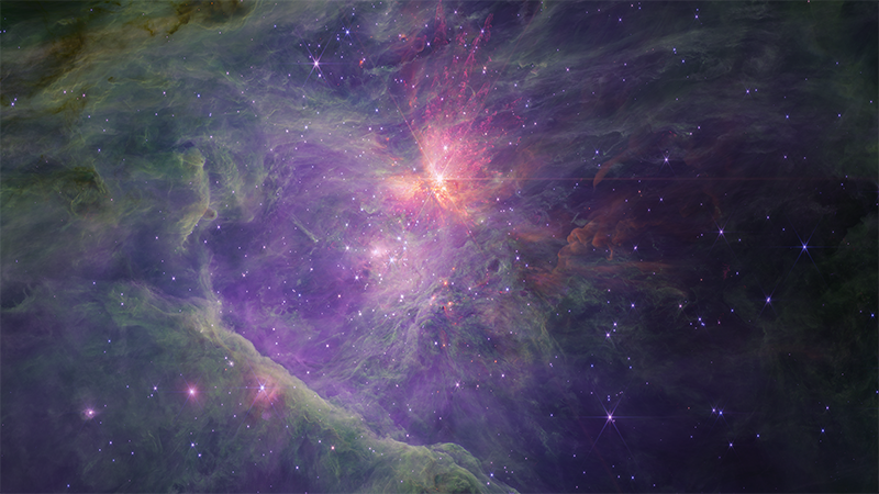 Exploring the Mysterious JuMBO Objects in the Orion Nebula