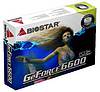 Biostar GeForce 6600