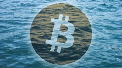Bitcoinová transakce si prý vyžádá v průměru 16000 litrů vody, to je jako zahradní bazén