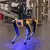 61275/boston-dynamics-spot-michelin-50.webp