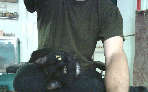 Test herních notebooků: Toshiba Qosmio F50