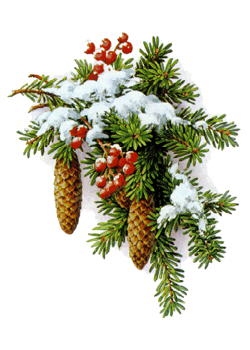 Doporučené PC sestavy: prosinec 2012