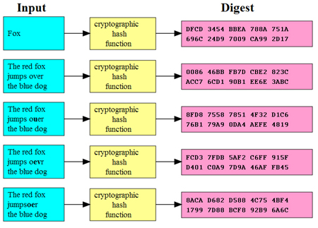 Šifrování a biometrie pod drobnohledem