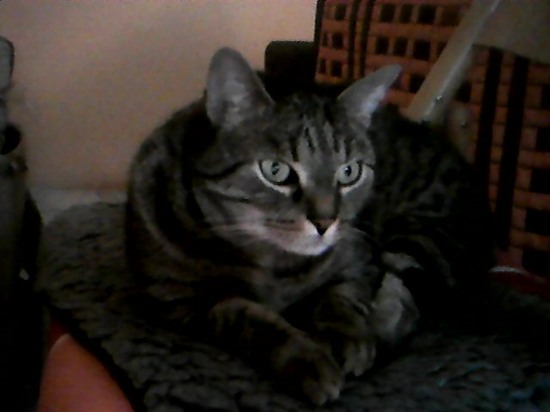 MSI GX60: AMD A10 a Radeon HD 7970