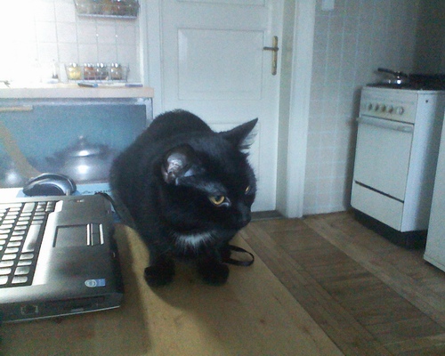 Test herních notebooků: Sony VAIO FW11S