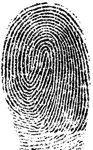 	Turisté budou v Japonsku platit otiskem prstu