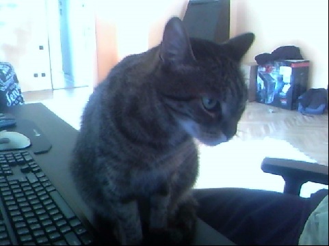 Asus G73SW: 3D Vision & Stealth