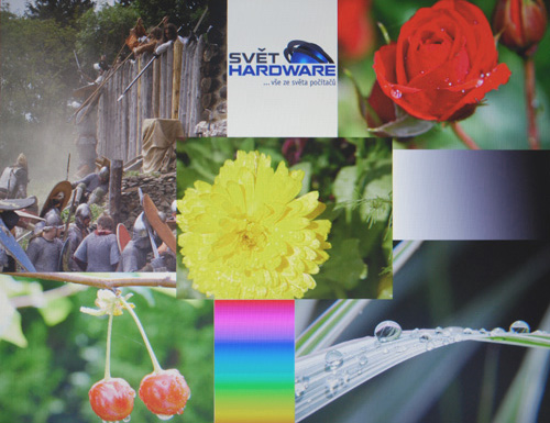 MSI CR650: hybridní AMD Brazos