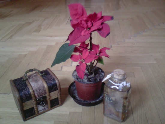 Sencor Element 9.7 v2: levná Retina