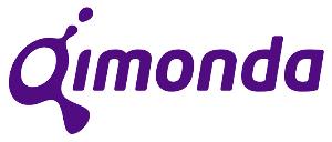 Micron a Qimonda se zřejmě sloučí