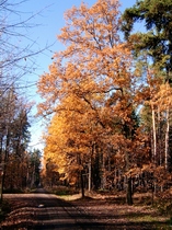 Průvodce koupí cenově výhodného PC pro listopad