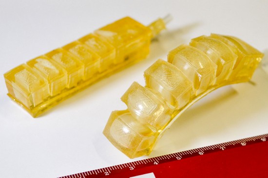 Švýcaři vyvíjejí jedlé roboty