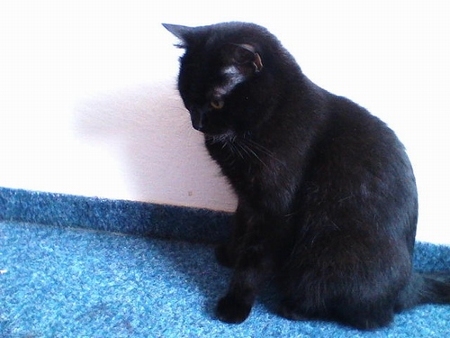 MSI GT663: zaměřen na hry