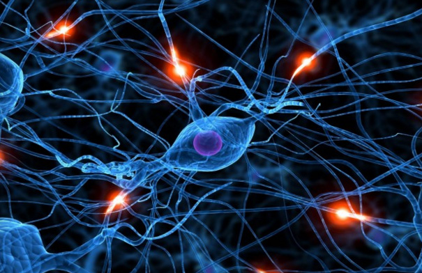 IBM TrueNorth se bude učit od mozku, jak jej ochránit