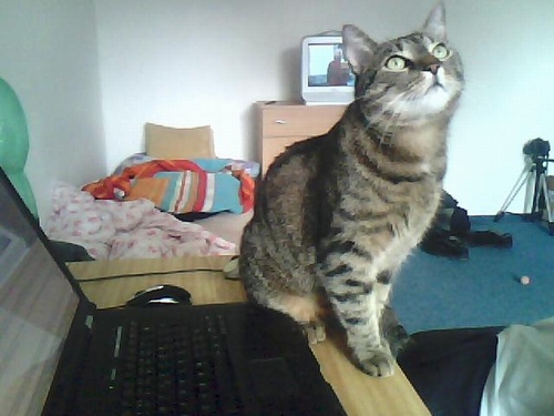 Toshiba Qosmio X300: herní kolos