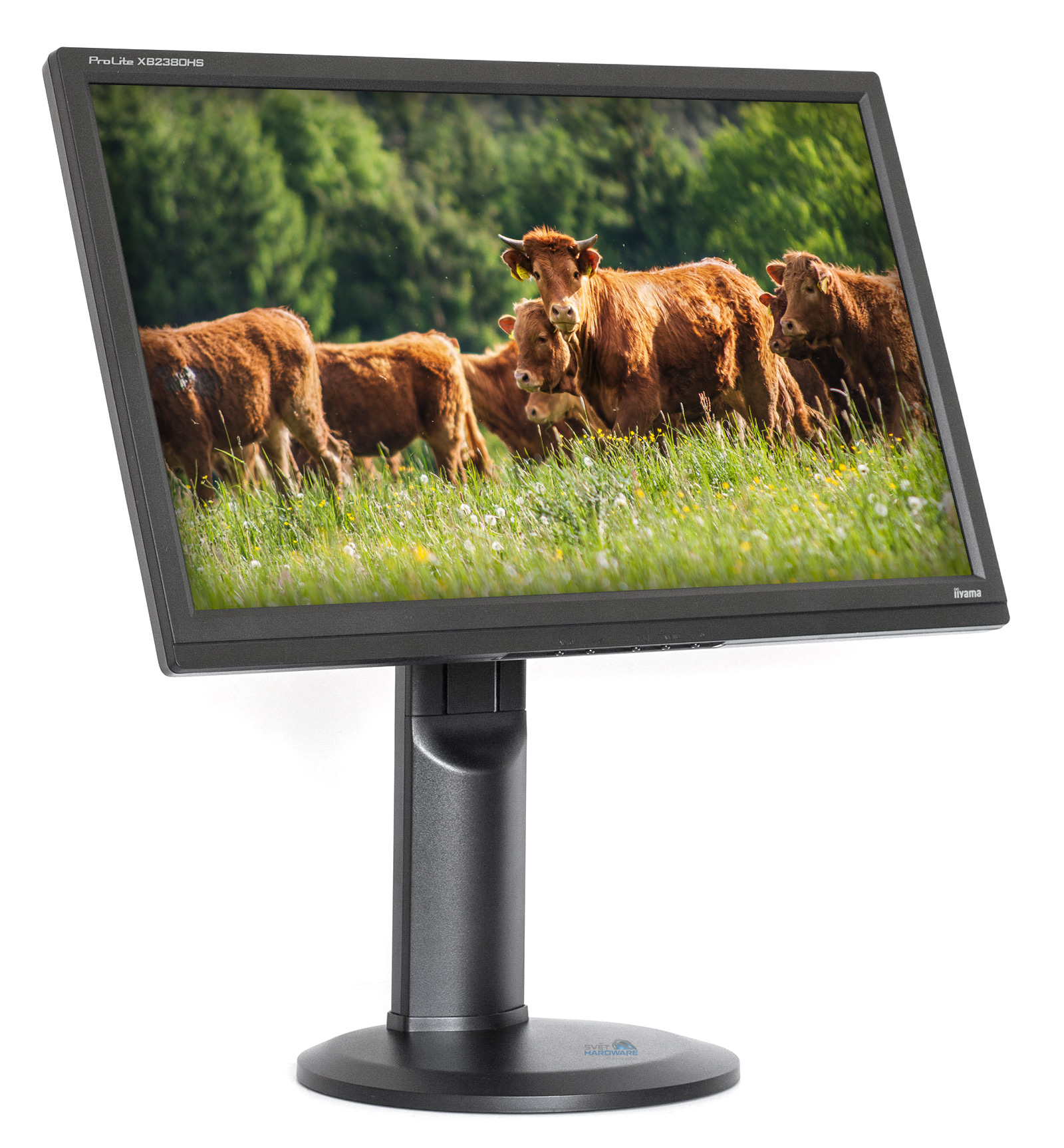 iiyama XB2380HS: ideál za danou cenu