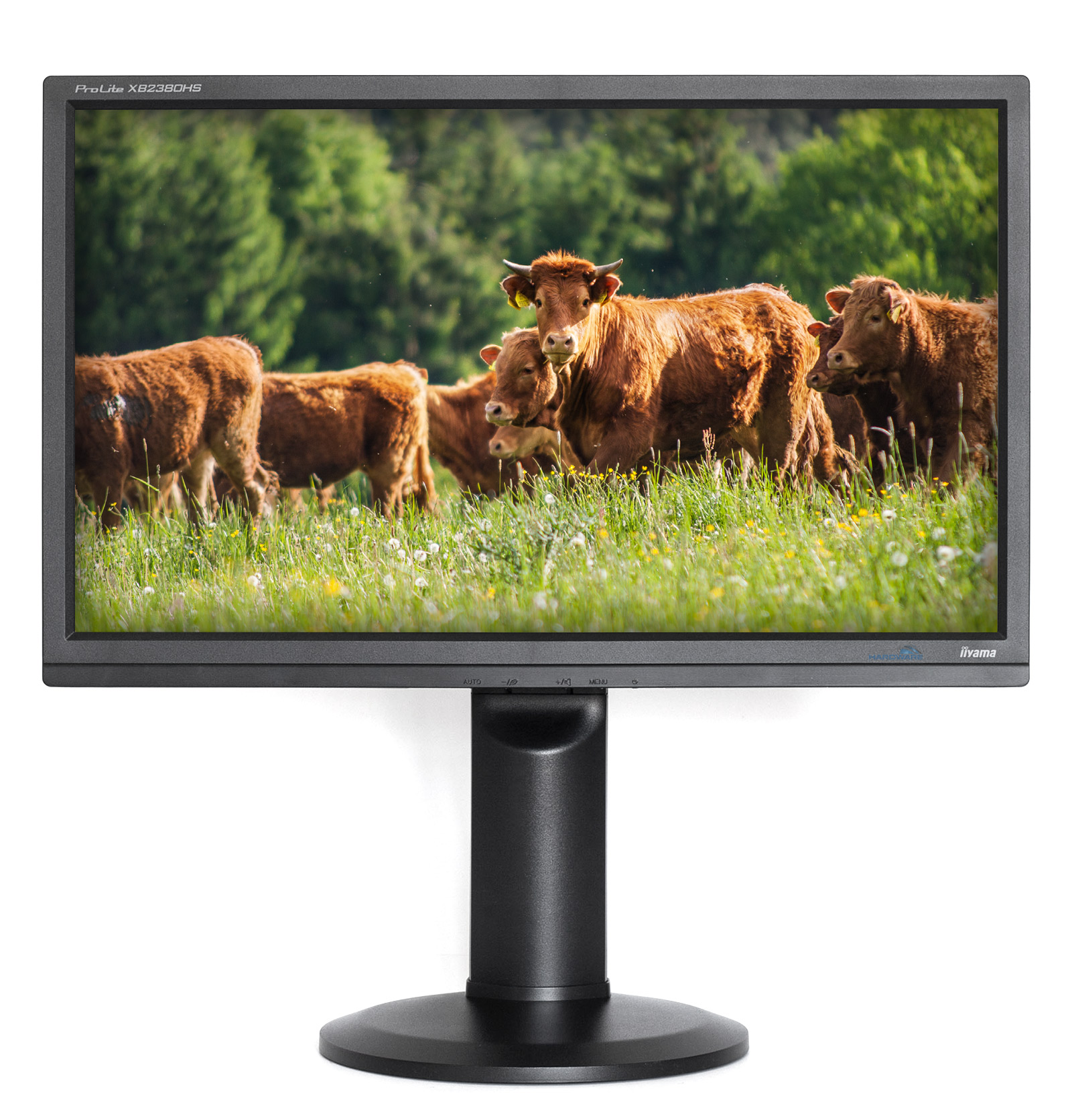 iiyama XB2380HS: ideál za danou cenu