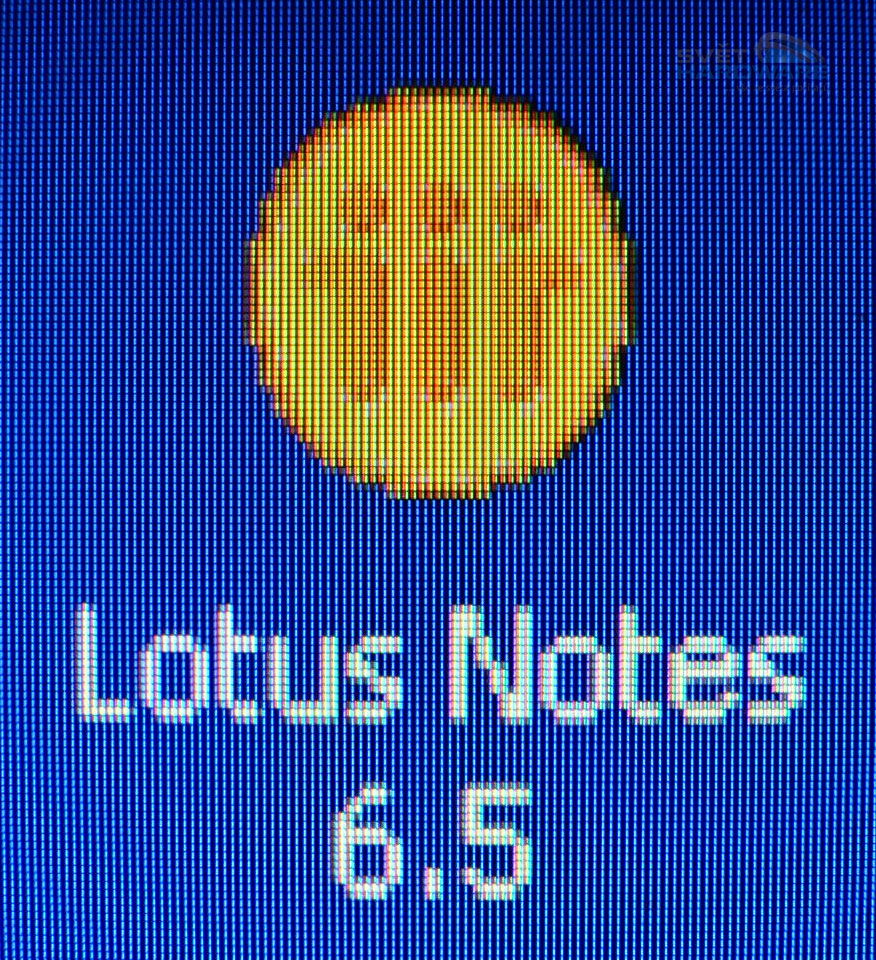 Megatest 19" LCD: SONY SDM-HS95PR