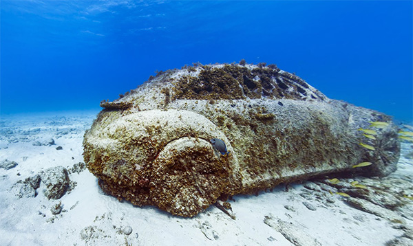 Google rozšířil své podvodní Street View