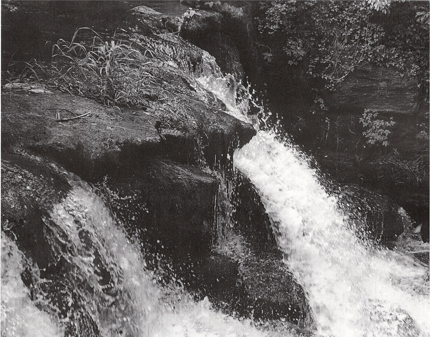 Laser black&white: Epson AcuLaser M2000D