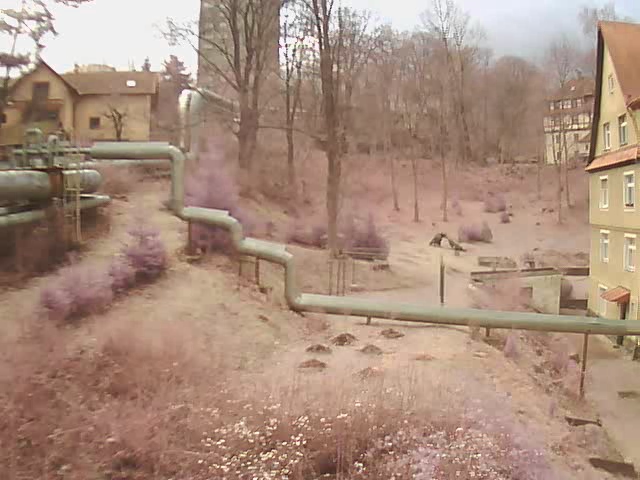 Y-Cam Black S: noční hlídač