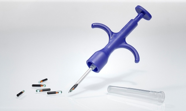 Firma ve Švédsku odstartovala čipování zaměstnanců