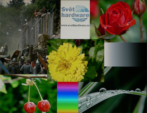 Megatest 19" LCD: HP L1955