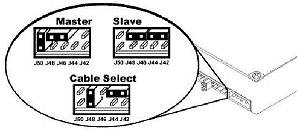 Pevný disk s kapacitou 80 GB od Maxtorů