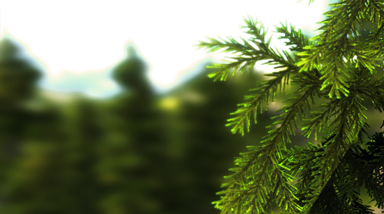 UNIGINE Valley: povedený benchmark