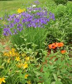 Průvodce koupí cenově výhodného PC pro červenec