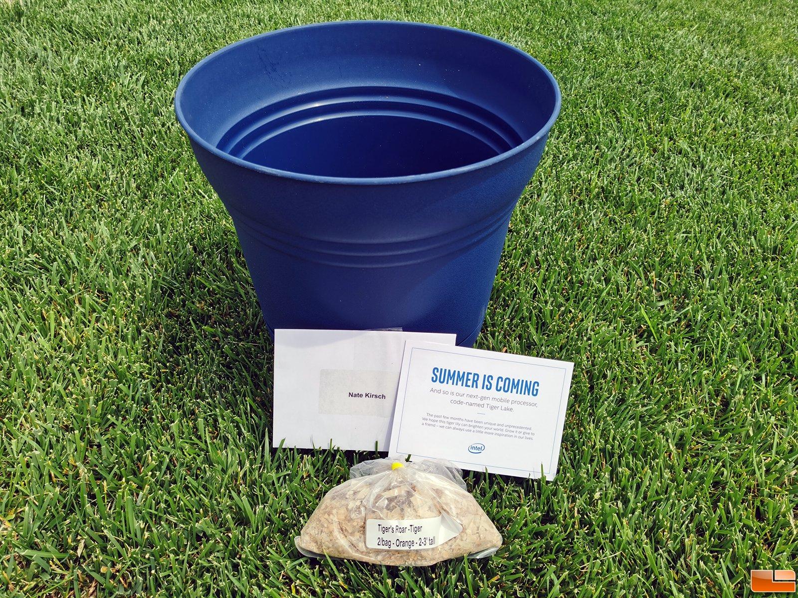 Intel slibuje brzký nástup procesorů Tiger Lake