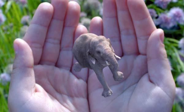 Google investuje do tajemného start-upu Magic Leap