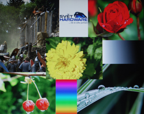 Dell Vostro 3300: výkonný drobek