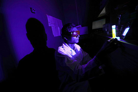 Vědci zjistili, jak modré světlo obrazovek ničí naše oči