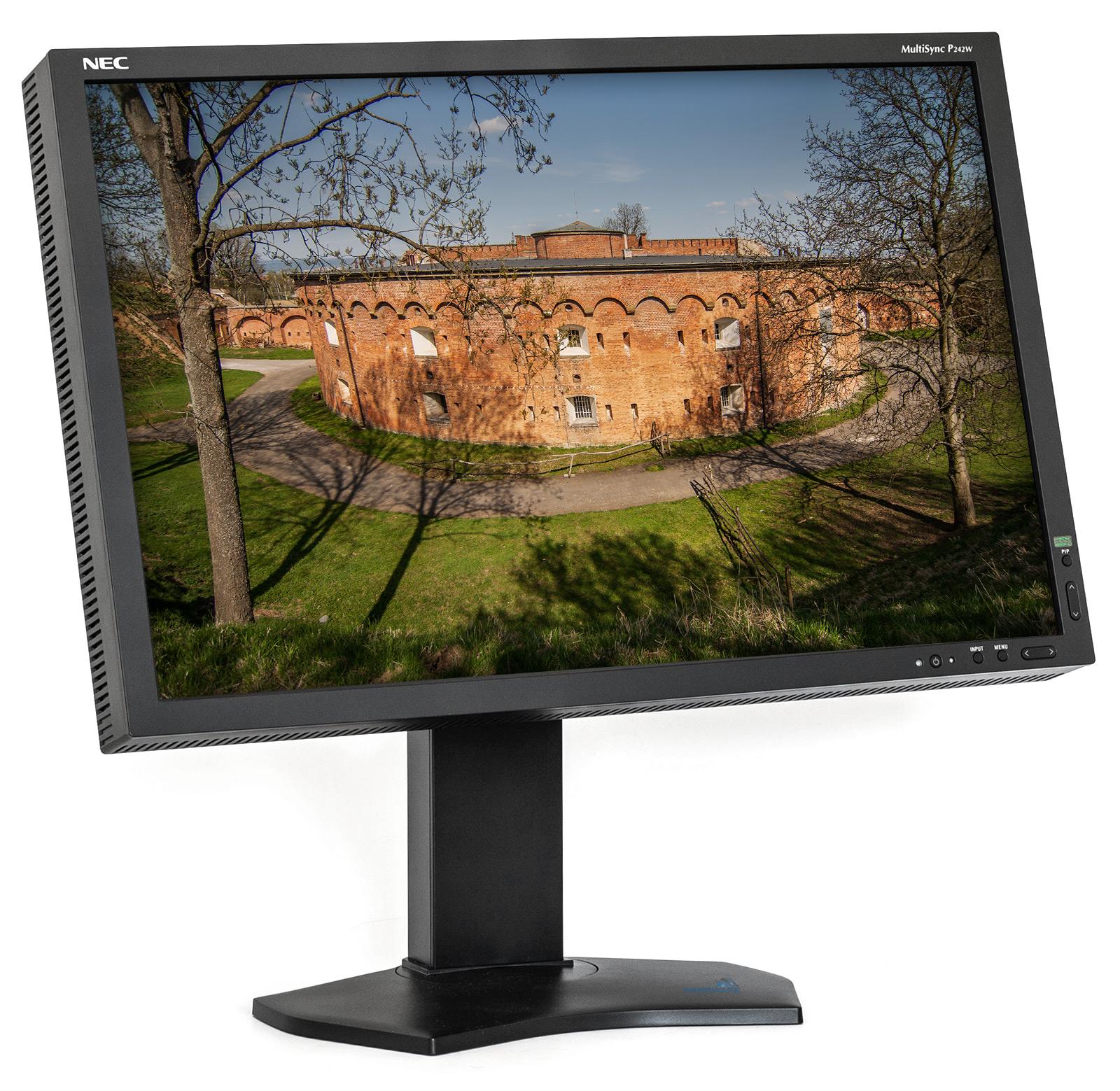 NEC P242W: sen webového grafika?