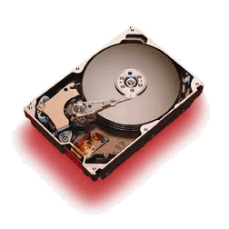 Disky Quantum s UltraATA/66