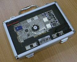 Dáma z kufříku...