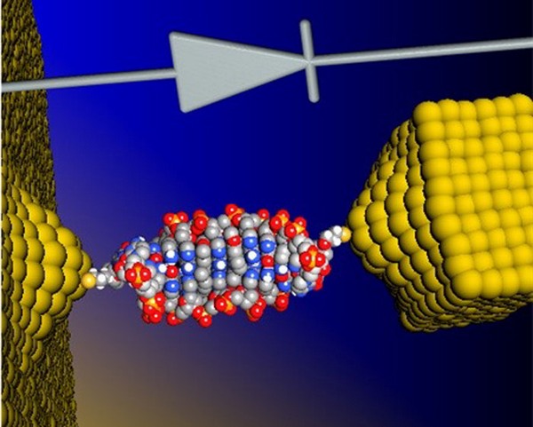 Světově nejmenší dioda je vyrobena z molekuly DNA