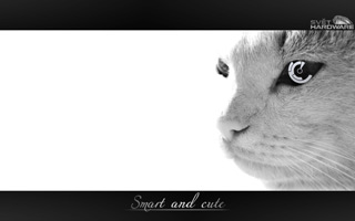 SHWallpaper - 20. kolo Počítač budoucnosti: vyhodnocení