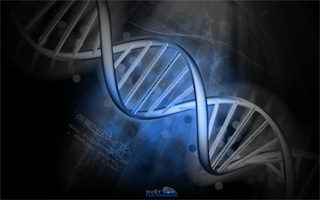 SHWallpaper - 12. kolo Génius: vyhodnocení