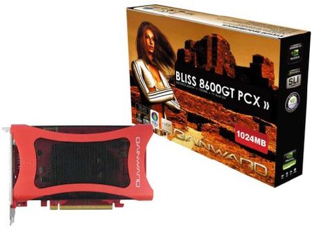 Gainward BLISS 8600 GT s 1 GB GDDR2