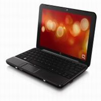 Netbook pod stromeček