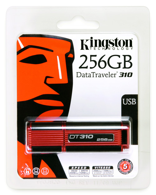 Kingston DataTraveler 310: 256 GB v dlani