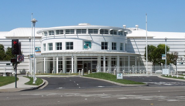 AMD propouští a reorganizuje