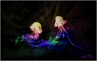 SHWallpaper - 19. kolo Kreativita: vyhodnocení