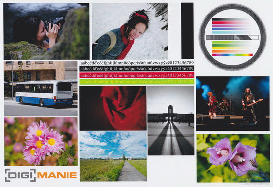 Canon PIXMA MG4250: levná šikulka