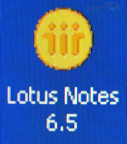 Megatest 19" LCD: HP L1955