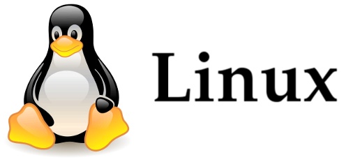 Linux slaví výročí – jak si vede?