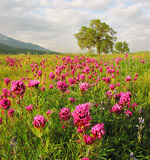 Průvodce koupí cenově výhodného PC pro květen