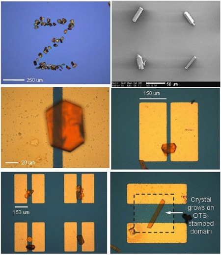Standford a UCLA přicházejí s metodou výroby flexibilní elektroniky s organickými tranzistory